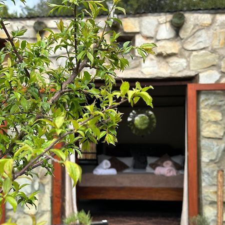 Stormsriver Backpackers Dijembe Stormsrivier Ngoại thất bức ảnh