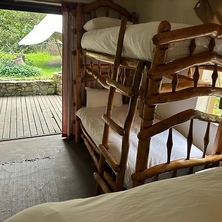 Stormsriver Backpackers Dijembe Stormsrivier Ngoại thất bức ảnh
