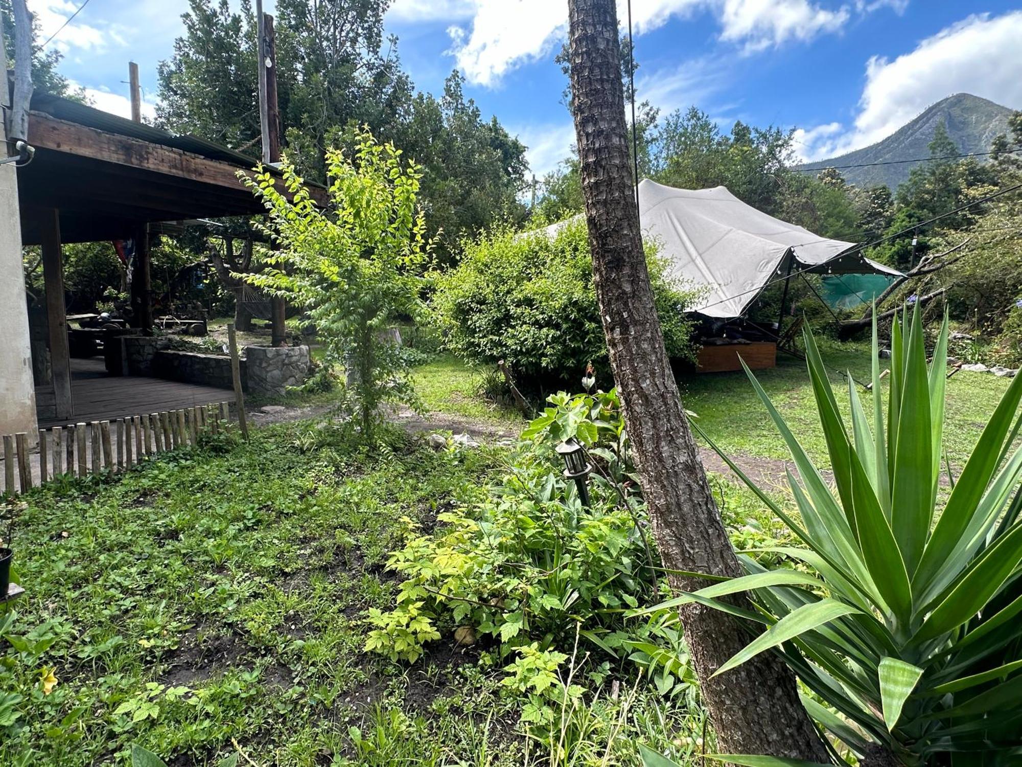 Stormsriver Backpackers Dijembe Stormsrivier Ngoại thất bức ảnh