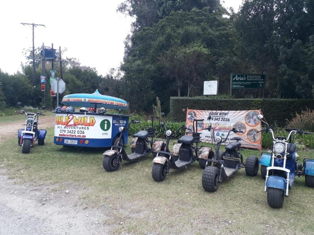 Stormsriver Backpackers Dijembe Stormsrivier Ngoại thất bức ảnh