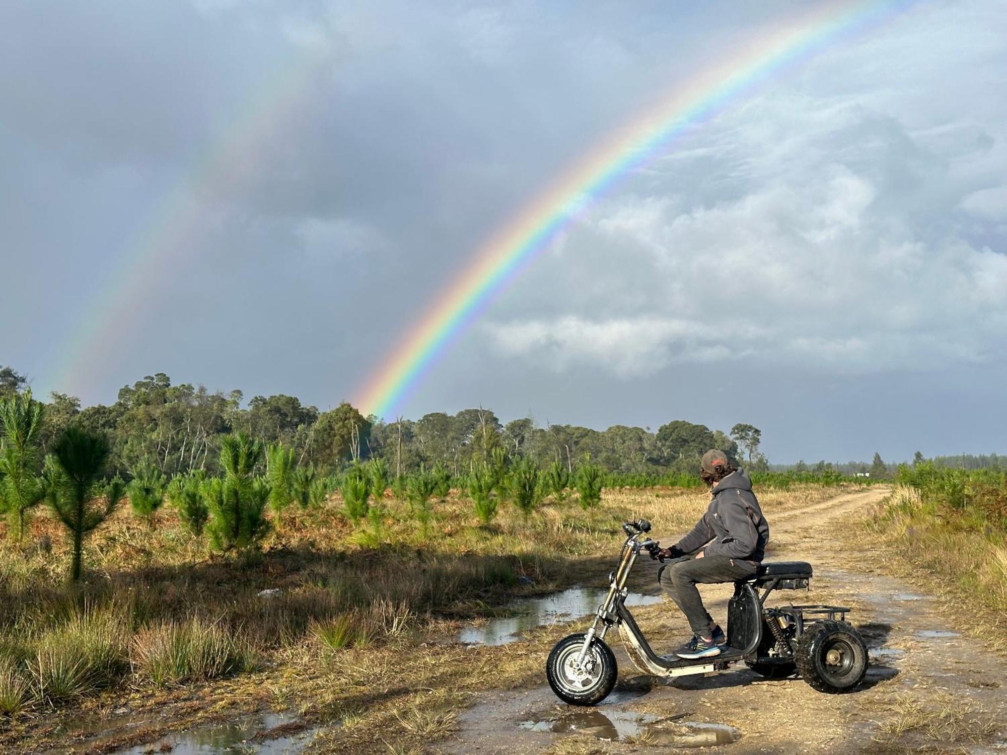 Stormsriver Backpackers Dijembe Stormsrivier Ngoại thất bức ảnh