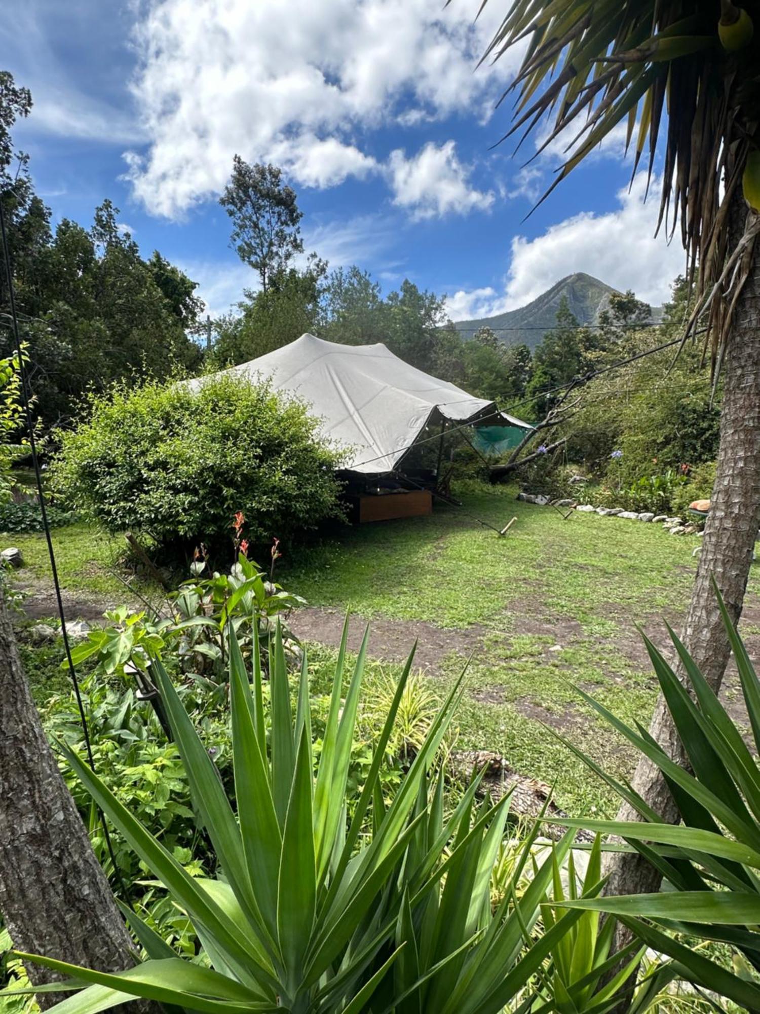 Stormsriver Backpackers Dijembe Stormsrivier Ngoại thất bức ảnh